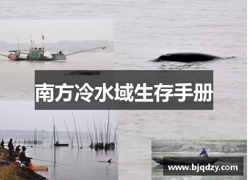 南方冷水域生存手册